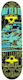 Nils CR3108SA Night 7.87" Complete Shortboard Πολύχρωμο
