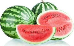 Watermelon Livia F1 | 1000 Seeds