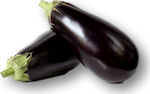 Eggplant Octavia F1 | 1000 Seeds