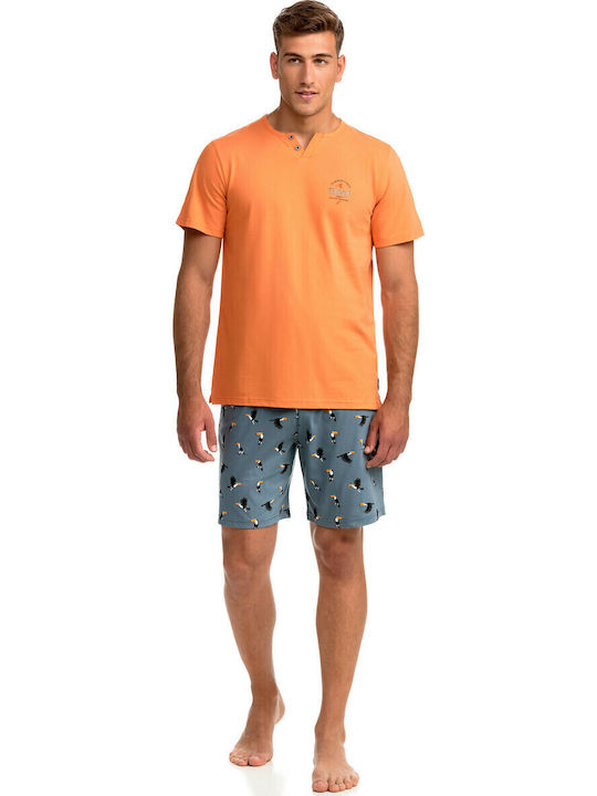 Vamp Orange