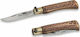 Antonini Old Bear Old Bear Walnut Size XS Σουγι...