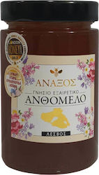 ΑΝΑΞΟΣ Μέλι Ανθέων 500gr ΑΝΑΞΟΣ Μέλι Ανθέων 500gr