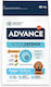 Affinity Advance Puppy Medium 3kg Trockenfutter für Welpen mittlerer Rassen mit Huhn und Reis