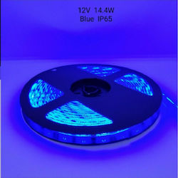 Ταινία LED 12V Μπλε 5m Ταινία LED 12V Μπλε 5m