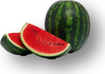 Watermelon Sensei F1 | 1000 Seeds