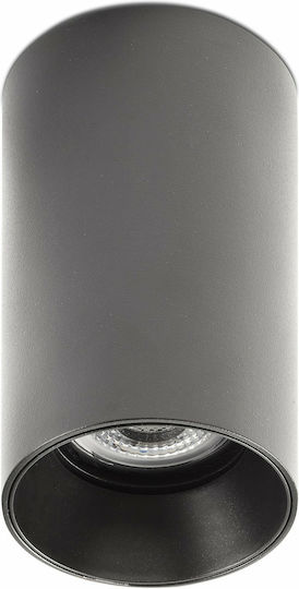 Faro Barcelona Single Spot with Socket GU10 in Gray Color Faro Barcelona Single Spot with Socket GU10 in Gray Color