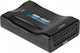 Μετατροπέας HDMI female σε Scart female 1τμχ ZLA0111