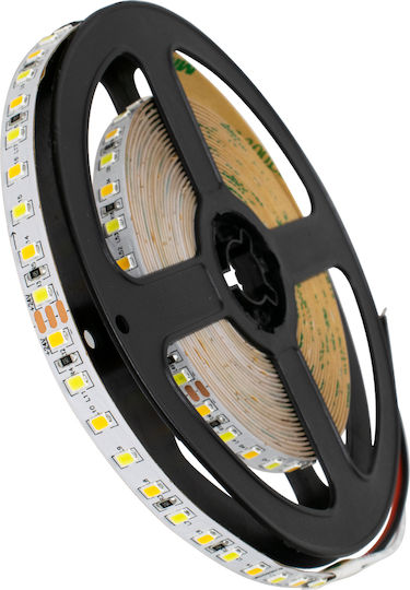 GloboStar LED Лента 24V Регулируемо бяло Светлина 5м Тип SMD2835