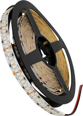 GloboStar LED Strip Power Supply 24V with Blue Light Length 5m and 240 LEDs per Meter SMD2835