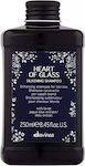 Davines Heart Glass Silkening Shampoos Smoothing for All Hair Types 250ml