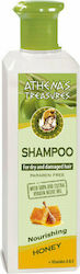 Pharmaid Athena's Treasures Shampoo Reconstruction/Nourishment for Dry Hair 250ml