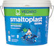 Vechro Smaltoplast Extra Plastic Ecological Paint for Interior Use Green 750ml