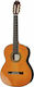 Juan Hernandez Clasic Chitară 4/4 Concierto Cedar Natural