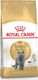 Royal Canin British Shorthair Adult Dry Adult Cat Food for Skin & Hair with Corn 0.4kg