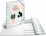 Herma Folder with Rubber Band and Ears for Paper A4 Gray Spark Cactus