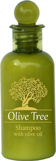 Amari Shampoo / Schaumbad Hotel Amenities Olive Tree 40ml