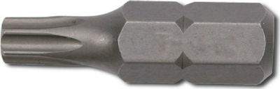 Force Screwdriver Bit Torx with Size T50 Torx