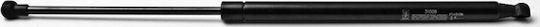 Fa Krosno Trunk Shock for Toyota Corolla Compact 1997-2002 (x spoiler) - Corolla 1997-2002 HB (x spoiler)
