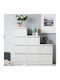 Office Storage Metal Drawer with Lock & 2 Drawers White L73.1xW46xH62cm