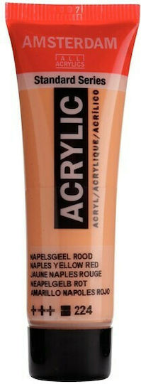 Royal Talens Amsterdam All Acrylics Standard Acrylic Paint Set Naples Yellow Red 224 20ml 1Stück