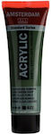 Royal Talens Amsterdam All Acrylics Standard Acrylic Paint Set Olive Green Deep 622 20ml 1Stück