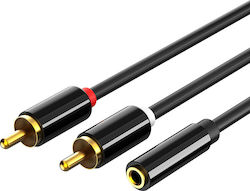 Cabletime AV310 3.5mm Weiblich zu RCA Männlich