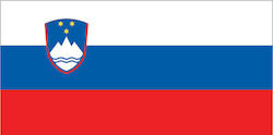 Flag of Slovenia 30x20cm