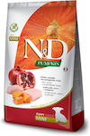 Farmina N&D Pumpkin Puppy Mini 2.5kg Dry Food Grain Free for Puppies of Small Breeds with Chicken and Pomegranate