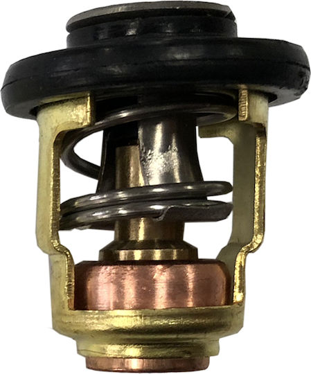 Eval Термостат Термостат 60° Yamaha 6G8-12411-01/66M-12411-01