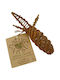 Happypet Nature First Willow Carrot Παιχνίδι Τρωκτικού 17cm