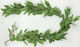 Decorative Garland Eucalyptus 150cm Faitakis Pack