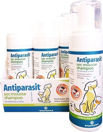 Tafarm Antiparasit Sec Mousse Dog Shampoo 150ml