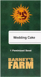 Barneys - Wedding Cake - 1 seed