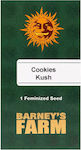 Barneys - Cookies Kush - 1 seed