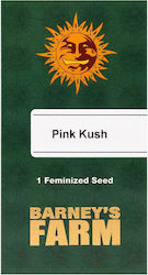 Barneys - Pink Kush - 1 seed