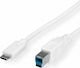 Value Cablu USB 3.2 USB-C Masculin - USB-B Alb 1.8m 11.99.8880-10