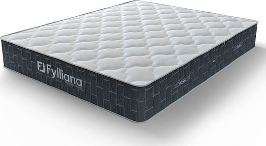 Fylliana Oniro Queen Anatomic Saltea 160x200x30cm