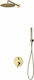 Karag Artemis Σετ Μίκτης, Τηλέφωνο & Κεφαλή Ντουζ Εντοιχισμού Ντουζιέρας 2 Εξόδων Inox Χρυσό