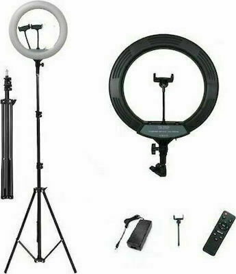 Q-289 Ring Light 40cm with Tripod Floor and Mobile Holder