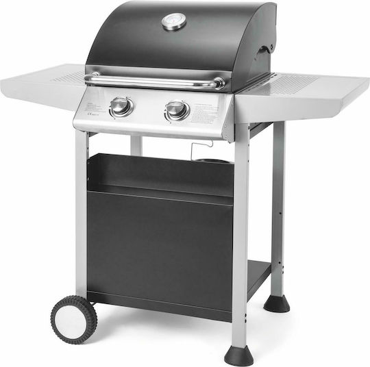 Fieldmann Gas Grill with 2 pcs 6kW