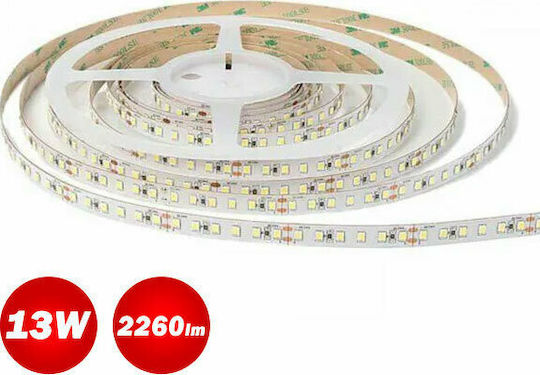 Universe LED Strip 24V 5m
