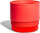 Zee-Dog Bowl Food & Water for Dog & Cat 2lt 19cm in Orange Color