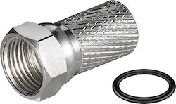 Edision F-Stecker