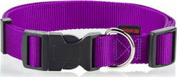 Pet Interest Plain Line Κολάρο σε Μωβ χρώμα XSmall 10mm x 19 - 33cm Pet Interest Plain Line Κολάρο σε Μωβ χρώμα XSmall 10mm x 19 - 33cm