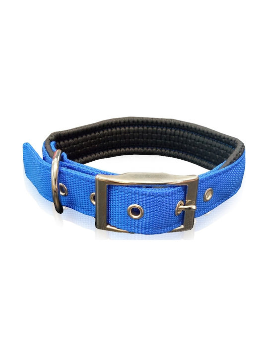 Pet Interest Neoprene Standard Dog Collar In Blue Colour Large 25mm x 50cm