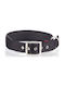 Pet Interest Neoprene Standard Ошийник за куче в Черен цвят Medium 20мм x 50см