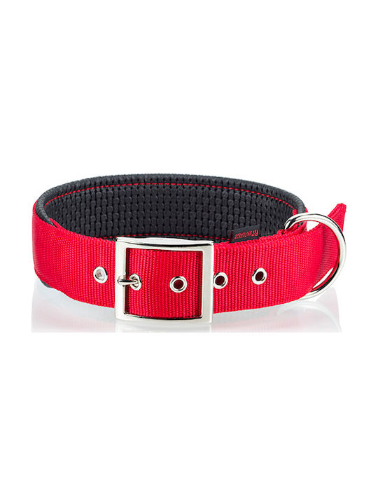 Pet Interest Neoprene Standard Κολάρο Σκύλου σε Κόκκινο χρώμα XSmall 16mm x 35cm