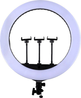 Ring Light Jmary FM-18R 45.7cm με Βάση για Κινητό