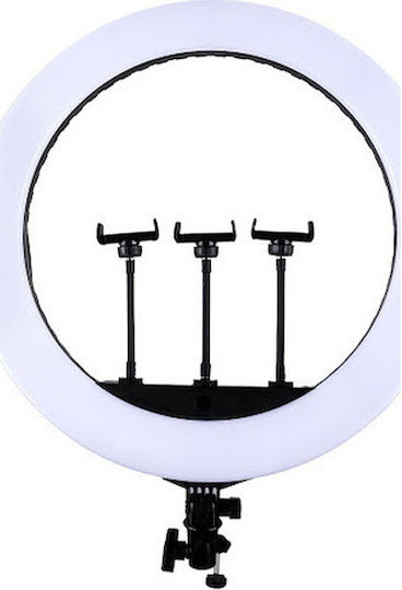 Jmary FM-21R Ringlicht 54cm mit Handyhalter