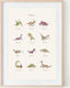 Mushie Παιδική Αφίσα Large Dinosaurs 50x70εκ.